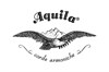 Aquila